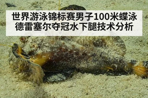 世界游泳锦标赛男子100米蝶泳德雷塞尔夺冠水下腿技术分析